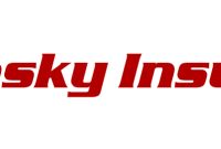Kaplansky insurance needham
